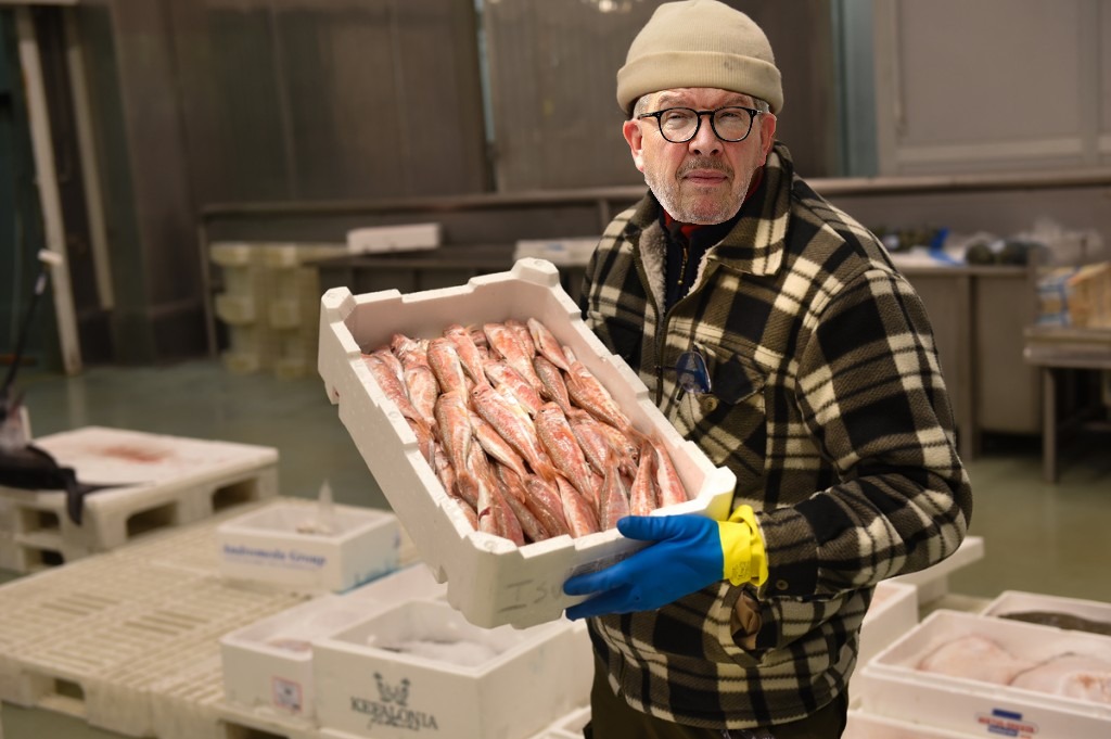 Il mercato del pesce